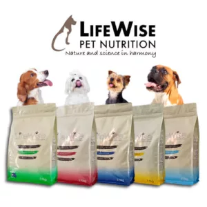Lifewise