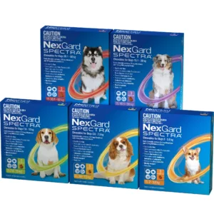 Nexgard and Nexgard Spectra